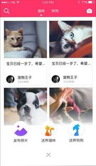 “宠物日常分享，养宠心得交流！”