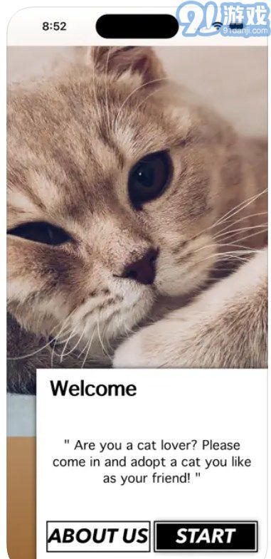 爱猫物语宠物店2023