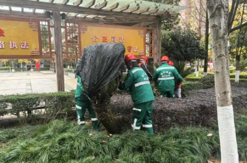 冬季不“猫冬”！这份园林绿化冬季养护攻略请查收…