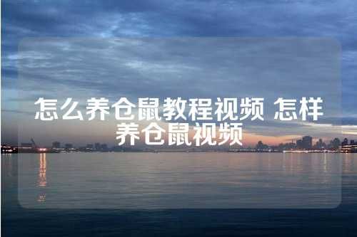 怎么养仓鼠教程视频 怎样养仓鼠视频 第1张
