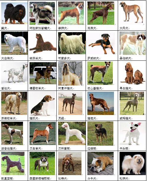 6ceb049e1a4f43c0a2d485ea72daf21d.png