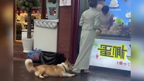 盘点那些缺德的动物#动物的迷惑行为