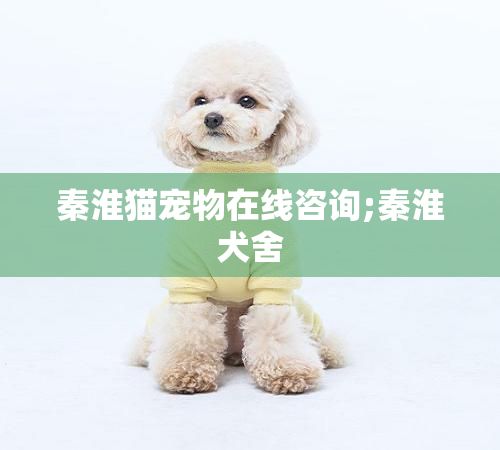 秦淮猫宠物在线咨询;秦淮犬舍