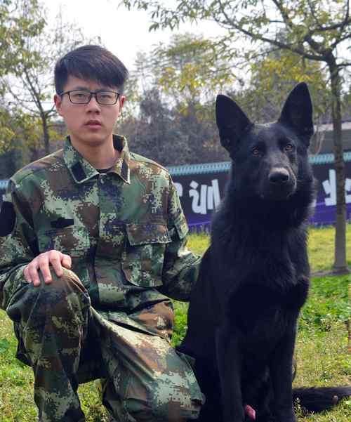 犬舍管理的必要性（从宠物健康、舒适出发，构建完善的管理体系）