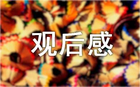 一条狗的使命观后感