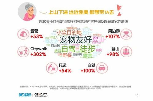 揭阳宠物酒店，推荐榜！