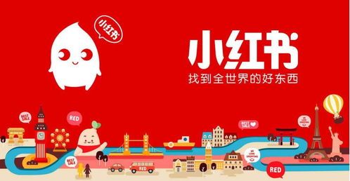 钱塘宠物托管哪家强?推荐!