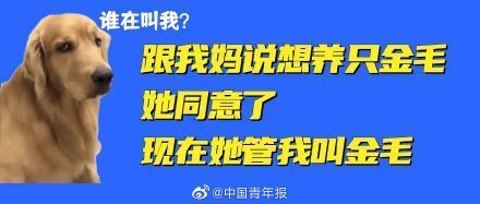 钱塘宠物托管哪家强?推荐!