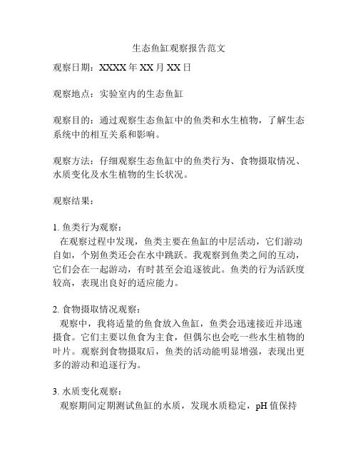 生态鱼缸观察报告范文