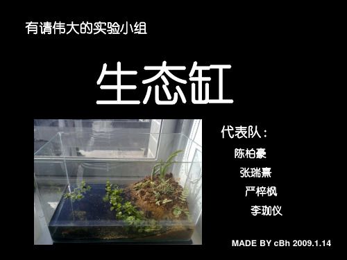生态缸-生态缸