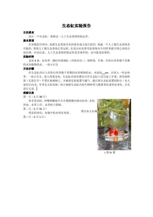 生态缸实验报告