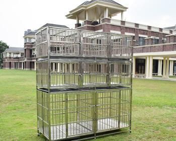 狗狗一直关笼子养好吗？长期笼养对宠物的影响是什么？