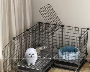 笼养狗狗是否适合宠物养育（探讨以笼子养狗的利弊及影响）