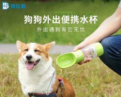 十天大的狗狗喂养指南（宠物养护必备）