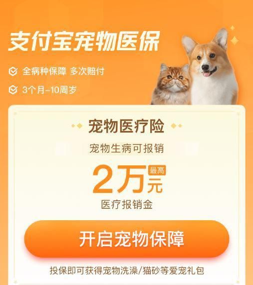 “宠物升级记，宠友圈”