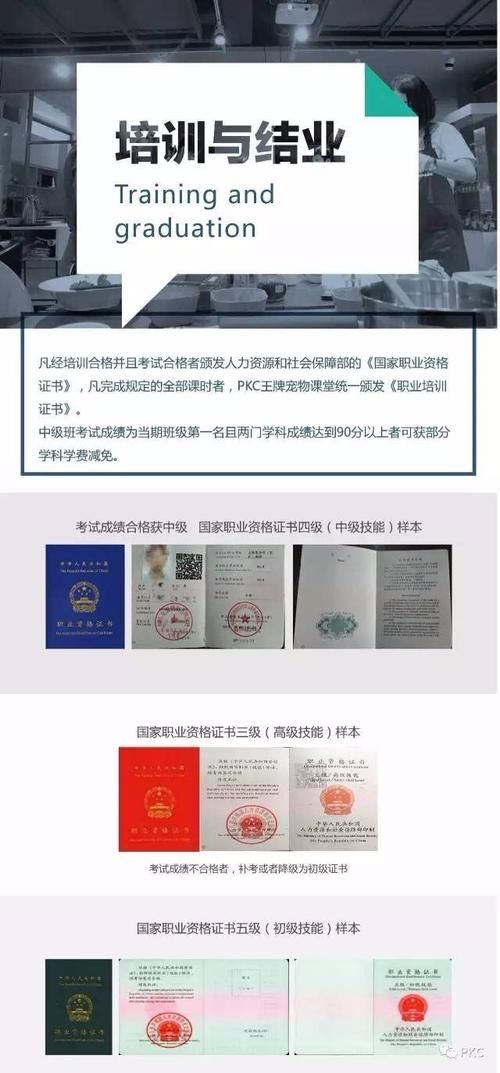宠物健康管理师证：你的宠物事业的敲门砖