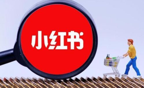 宠物养护秘籍，北京权威