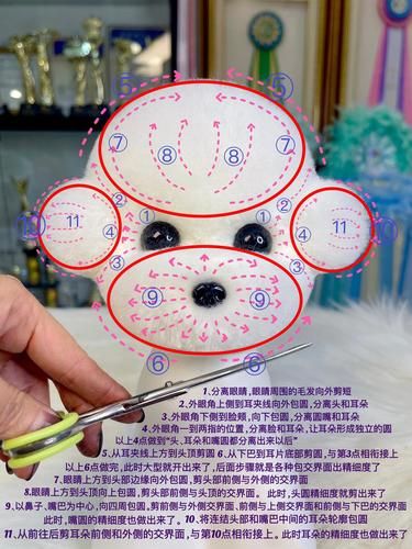 宠物造型的艺术感