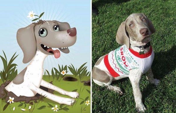 萌宠乐园名犬宠物，领略犬类的魅力与智慧