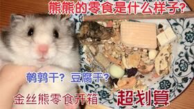 仓鼠美食大揭秘，宠物营养清单来啦！
