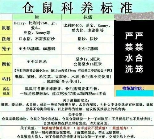 养仓鼠必备清单,新手必看!