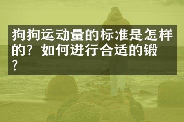 狗狗运动量的标准是怎样的？如何进行合适的锻炼？