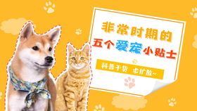 宠物健康小贴士,养宠必备