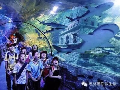 水族馆运营维护外包（国内外水族馆运营维护外包案例分析） 水族馆百科（水族馆加盟） 第1张