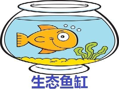 水族馆加盟代理怎么样赚钱的（上海水族馆加盟代理） 水族馆百科（水族馆加盟） 第3张