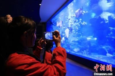 水族馆的利润有多大：上海海洋水族馆开设水族馆投资成本构成详解水族馆利润详解 水族馆百科（水族馆加盟） 第1张