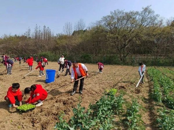 萌宠乐园门票与西湖免票政策详解