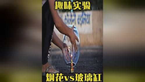 将烟花放在玻璃缸里，点燃后会发生什么？网友：太好玩了