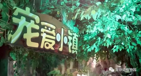 吉吉萌宠乐园门票，探索奇妙的宠物世界