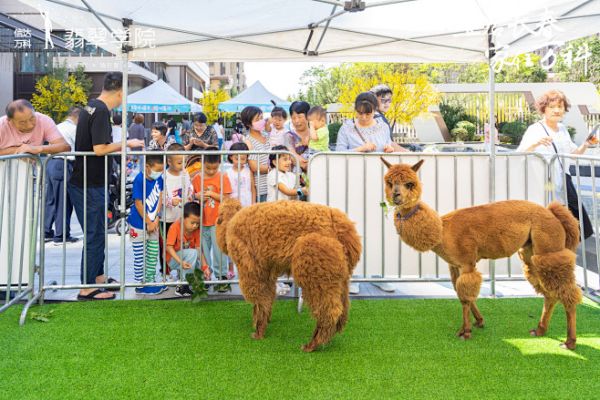 萌哆哆萌宠乐园门票带你领略宠物世界的无限魅力