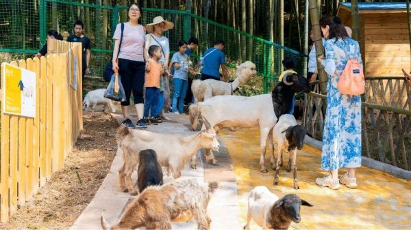 限时特惠许昌萌宠乐园门票，与可爱宠物共享欢乐时光！