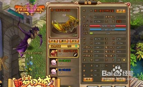 星辰游乐园萌宠乐园门票，带你进入梦幻的宠物世界