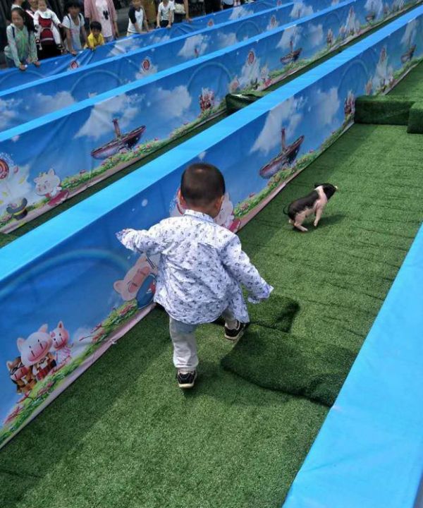 萌宠乐园门票双人价，畅享快乐时光！