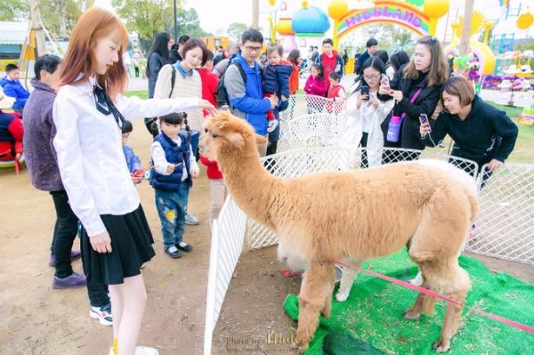 罗源萌宠乐园门票，带您领略宠物世界的奇妙之旅