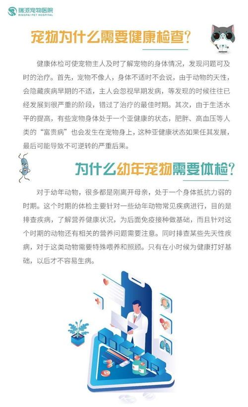 陪彼宠物，让它们更健康快乐？宠物护理指南和健康食谱分享