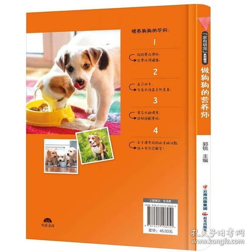 宠物教程：如何让你的宠物更健康？养宠物必备的健康食谱和护理技巧