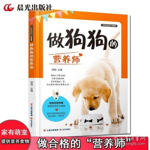 宠物教程：如何让你的宠物更健康？养宠物必备的健康食谱和护理技巧