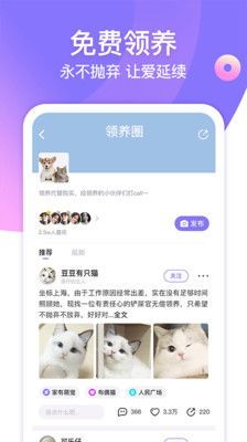 世茂宠物圈，养宠秘籍分享站