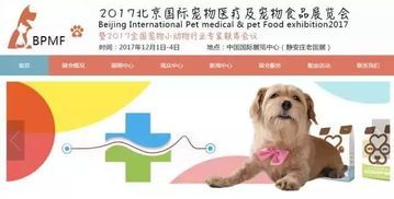 宠物同谋：如何让宠物更健康快乐？宠物护理必备技巧和健康食谱