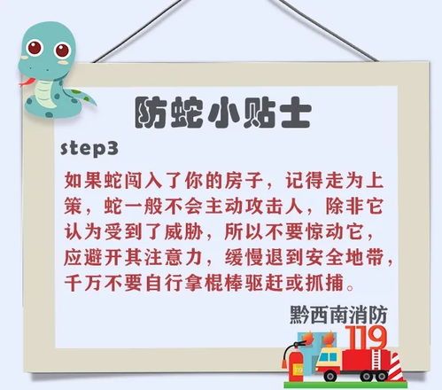 “蛇咬意外，宠物护理小贴士，安全养宠记！”