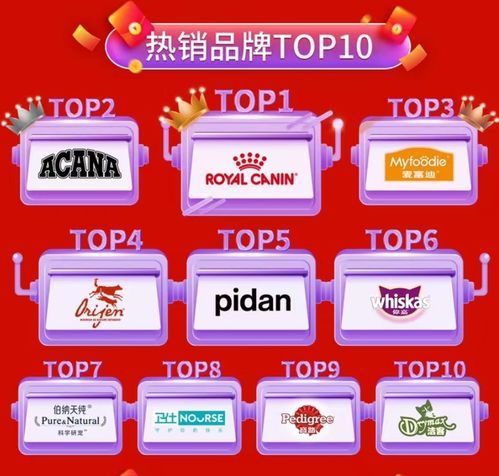 宠物天：如何让宠物更健康快乐？宠物护理必备技巧和健康食谱