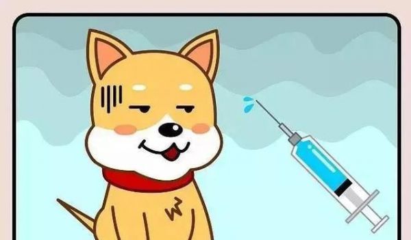 如何让你的爱犬健康过冬（宠物犬冬季护理与健康食谱）