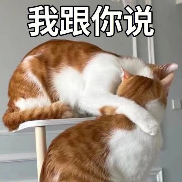 还得看伯纳天纯！三猫两犬家长教你极致囤粮，营养丰富又健康。