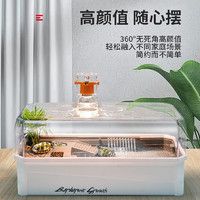 风宠 乌龟缸 龟龟大别墅