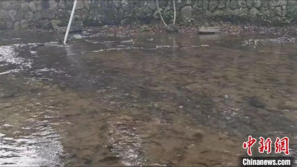灵隐飞来峰景区附近的水域清澈见底 杭州西湖风景名胜区灵隐管理处 供图