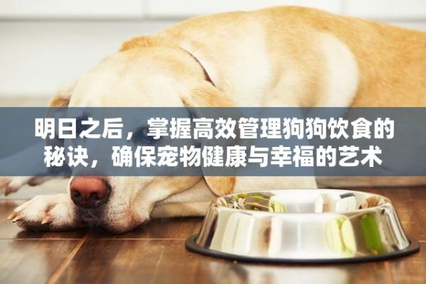 明日之后，掌握高效管理狗狗饮食的秘诀，确保宠物健康与幸福的艺术